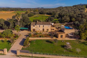 Finca Cavea